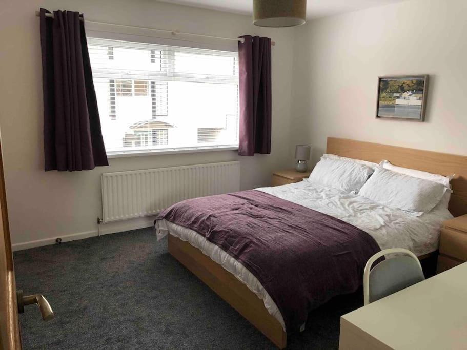 Apartament Revamped Holywood Town Centre House Zewnętrze zdjęcie